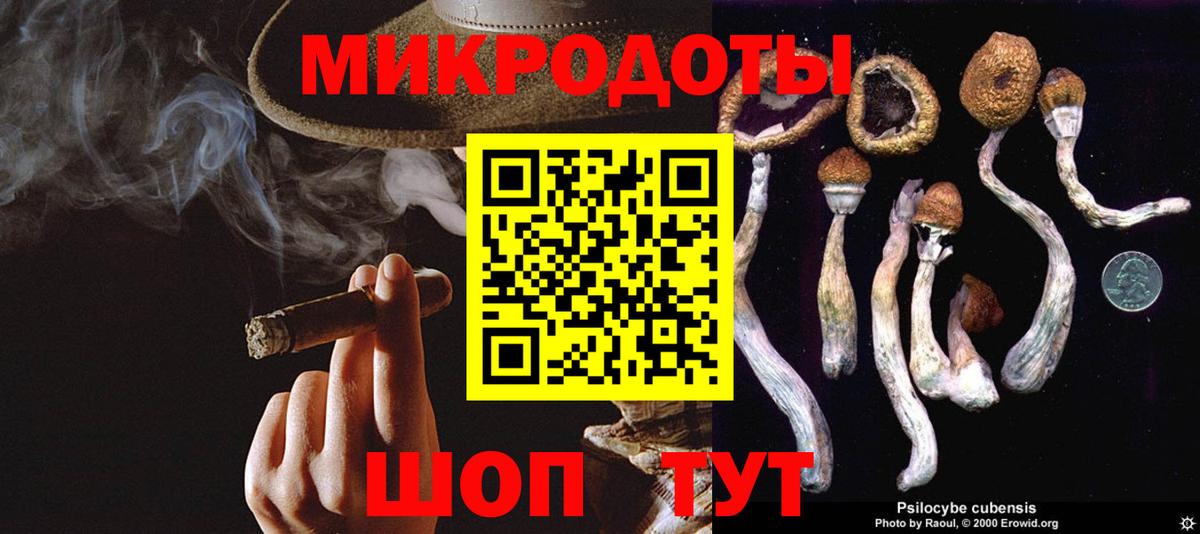 Псилоцибиновые грибы Cubensis  Псилоцибиновые грибы GOLDEN TEACHER  Вход с VPN  Пугачёв 